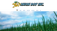 Desktop Screenshot of onionboyinc.com