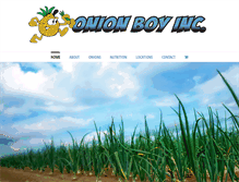 Tablet Screenshot of onionboyinc.com